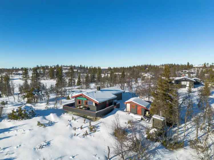 Koselig hytte til fjells med fantastisk turterreng