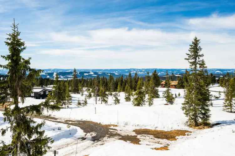 Byggeklar Fritidstomt i Sjusjøen - Heståsen