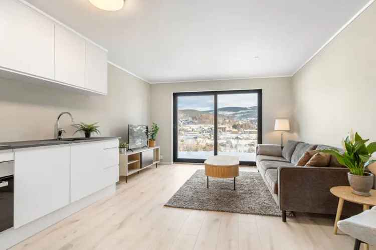 Smart 3-roms Leilighet Notodden - Totalrenovert