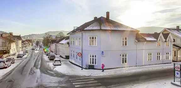 2-roms Leilighet Bragernes Sentrum Nærhet til Byen
