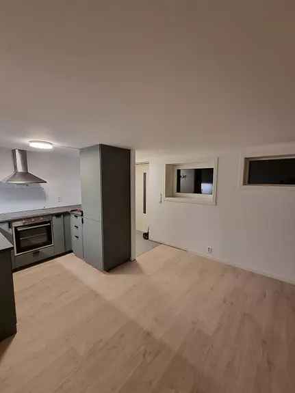 Moderne Leilighet Brubakken - 1 Soverom