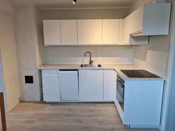 Moderne Sokkeleilighet til Leie for En Person