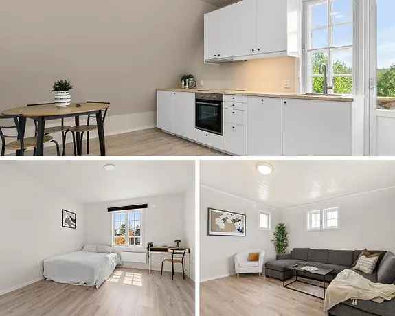 2 rom i bofelleskap - Nyrenovert enebolig Kongsberg
