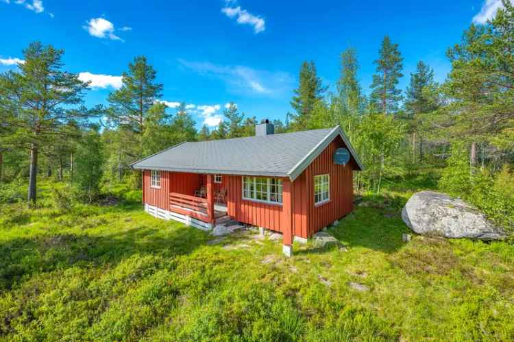 Hytte i Fyresdal - Skiløyper og Natur