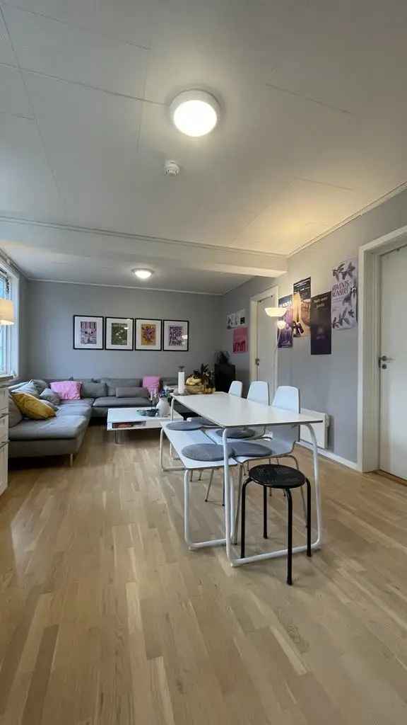 Rom i bofellesskap Trondheim - Hyggelig jentekollektiv