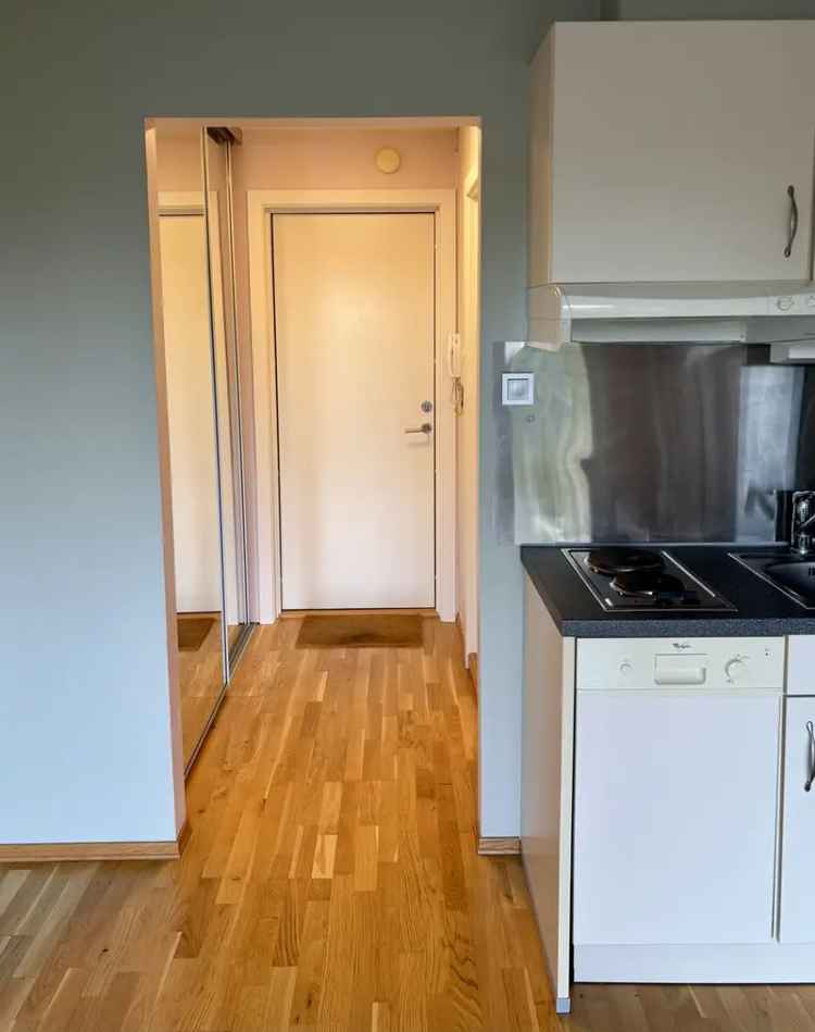 Studioleilighet til leie Ås - sentralt og nær NMBU