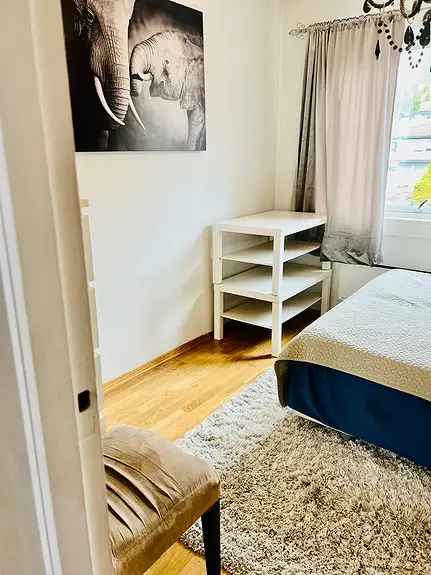 Stor Rom Leie Drammen - Inkl Strøm Internett