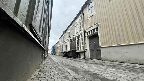 Sentrum 1-roms leilighet - rolig område