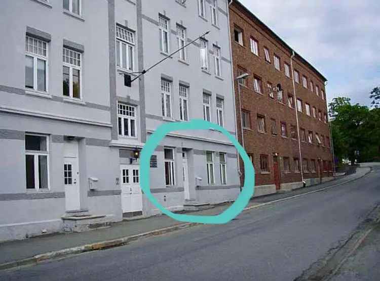 4-roms Leilighet Trondheim  Nær NTNU og Sykehus