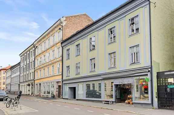 Lys 3-roms leilighet Grünerløkka
