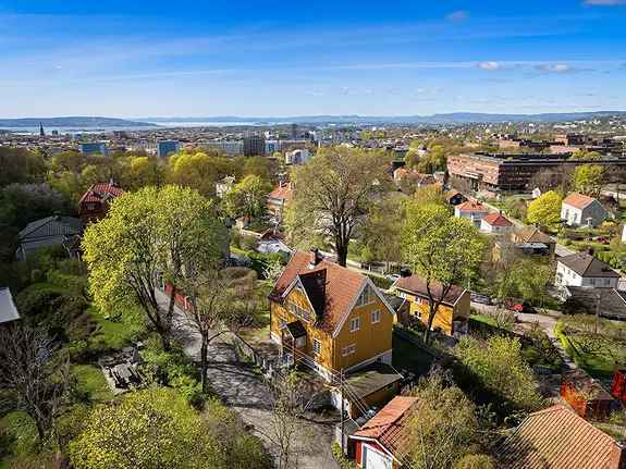 Blindern Villa Panoramautsikt Utleiedel
