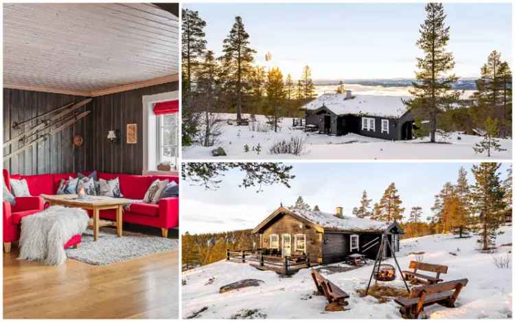 Hytte Renåfjellet 4 soverom 2 bad flott utsikt