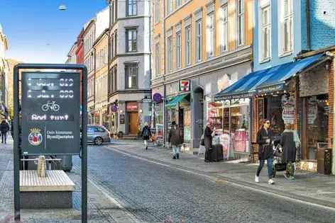 3-roms leilighet Oslo sentrum 63m²
