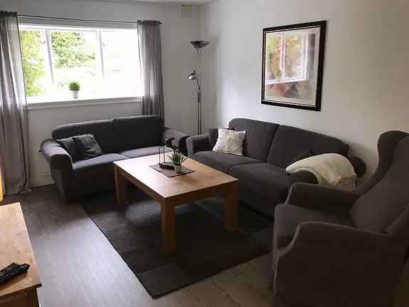 3-roms leilighet sentralt