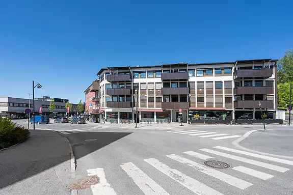 Leilighet med 3 hybler og stort potensial for utleie eller videre utvikling - sentralt i Elverum