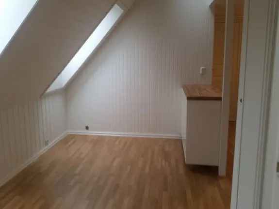 ILA 3-roms loftsleilighet 2km fra sentrum Ledig 0108
