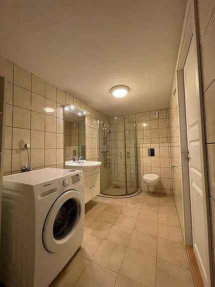 Romslig kjellerleilighet med privat inngang til leie!