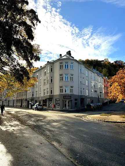 Stor 3-roms leilighet Ila - Nær sentrum og Bymarka