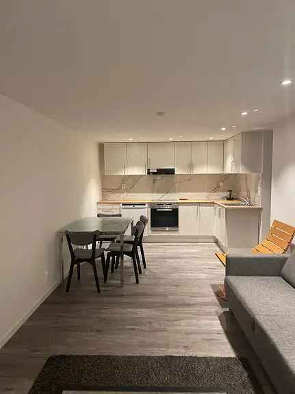 Leilighet til leie Vestby sentrum