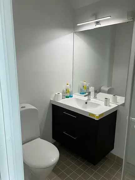Liten leilighet 1 soverom bad wc