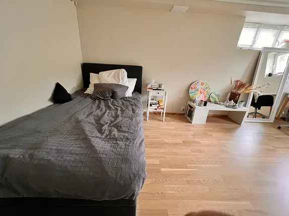Hyggelig moderne hybel leies ut