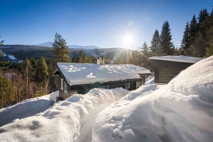 Lys og sjarmerende skogshytte ved Voss