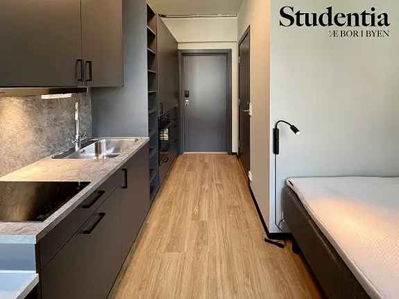 Ledige Hybler Kristiansand Sentrum Studentboliger 2025