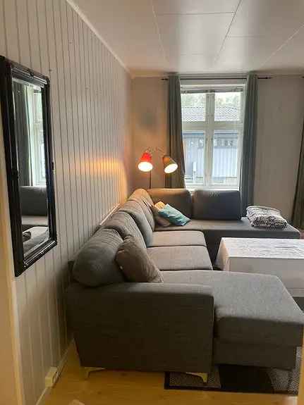 Flott Sentral Leilighet Med Varmepumpe Til Leie