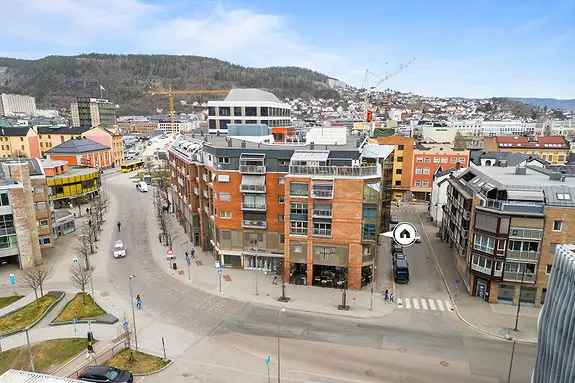 Stor 3-roms hjørneleilighet Strømsø - Sentral beliggenhet