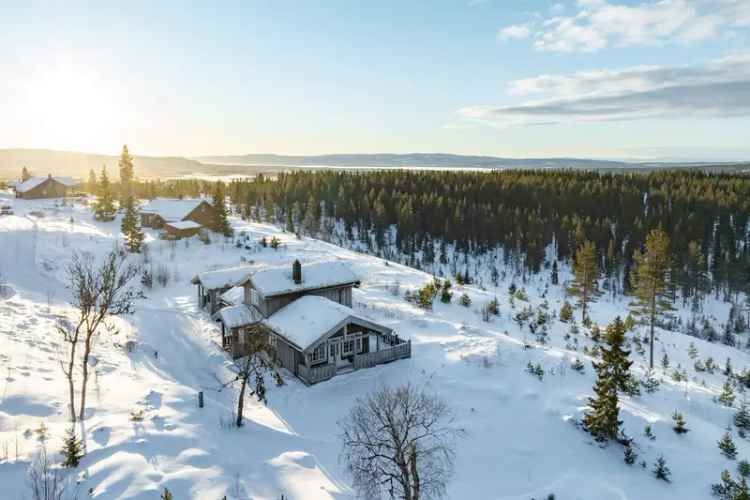 Lekker Hytte 2022 Furutangen 4 Soverom Unik Beliggenhet
