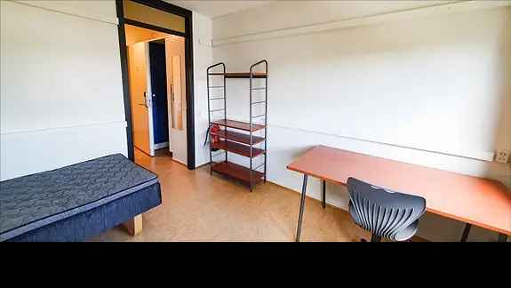 Studentbolig Sentrum Korttidsleie Juni-Desember