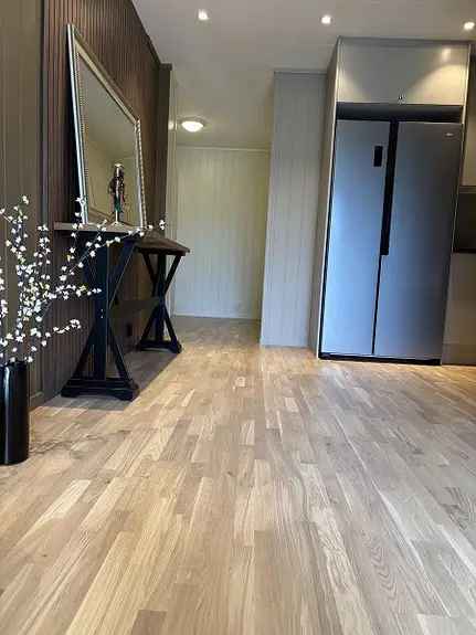 Nyoppusset Leilighet Reinsvoll 55m2