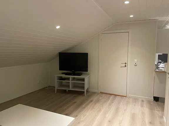 Liten Leilighet Kråkerøy 48m2