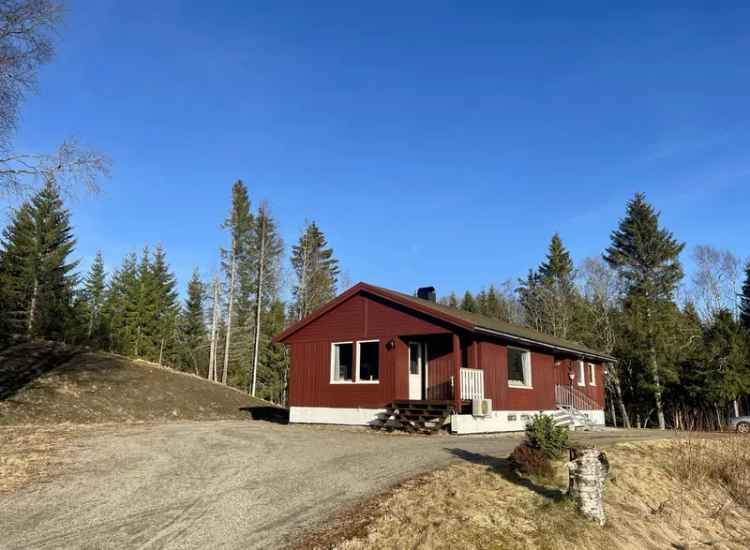Enebolig Ogndal - Landlig Idyll med Garasje