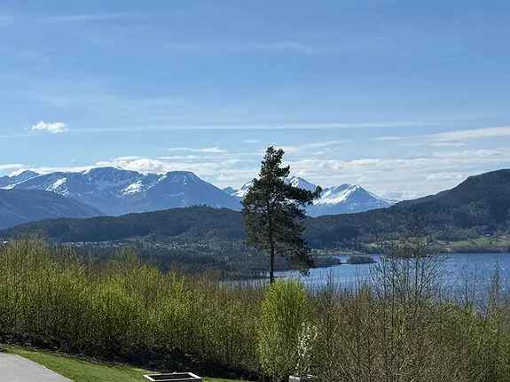 Leilighet til leie i Skodje - 1 soverom