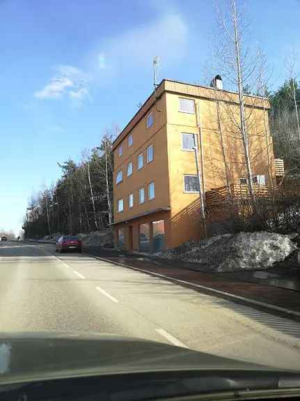 Leilighet Drammen 2 Soverom Sentralt