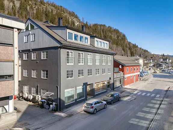 Ål Sentrum - 3-roms leilighet - Heis - Felles terrasse