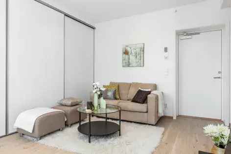 1 rom leilighet 33 m2 Oslo sentrum