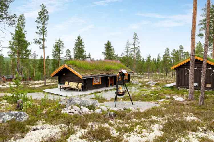 Tømmerhytte Rendalen - Solrik beliggenhet med anneks