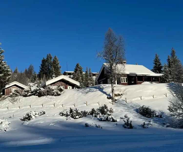 Koselig Hyttetun Bagn Vestås - Turterreng Sommer Vinter