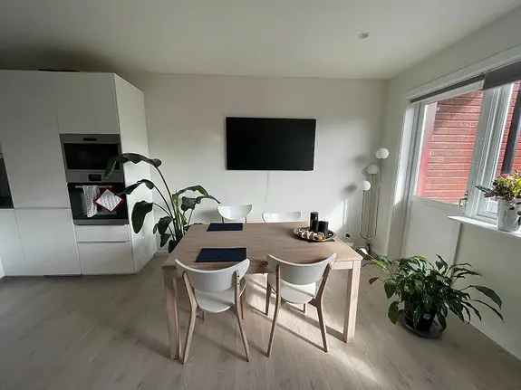 Korttidsleie 3-roms leilighet Skillebekk 0108-31122025