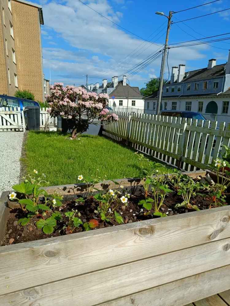 Leilighet til leie Bergen sentrum 2 rom