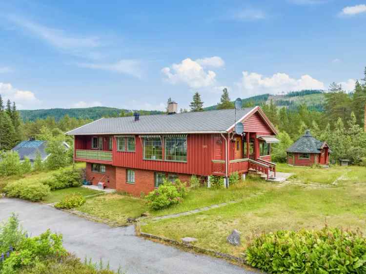 Stor enebolig Trysil fjellutsikt to innganger garasje grillbu badestamp