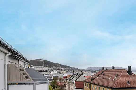 Borettslagsleilighet med Sørvendt Balkong og Nytt Bad