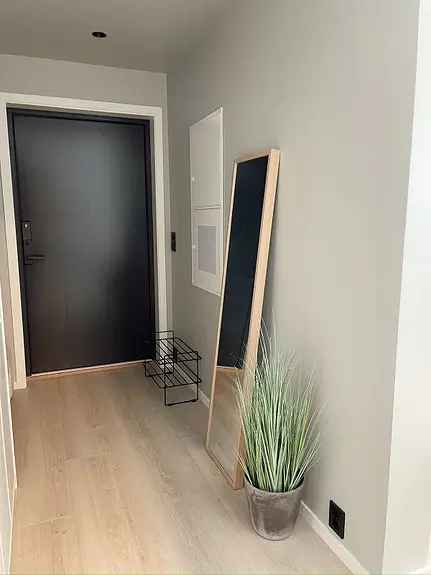 Ny Hybel leie Hamar - 30kvm - Alt Inkludert