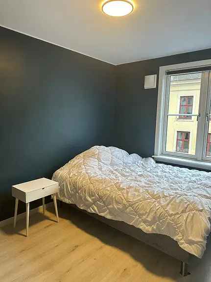 Rom til leie Grünerløkka - moderne leilighet