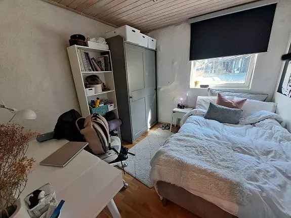 Hybler til leie ved NTNU Dragvoll