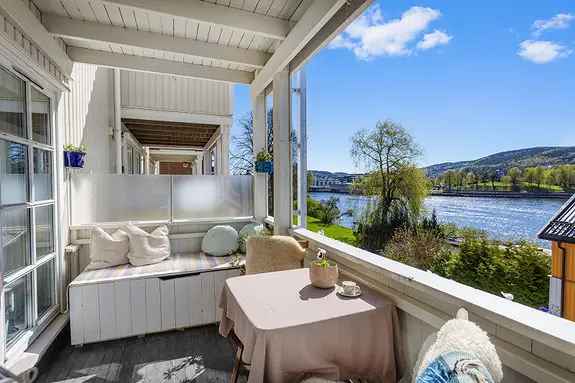 4-roms leilighet Drammen - Elveutsikt og strandpark
