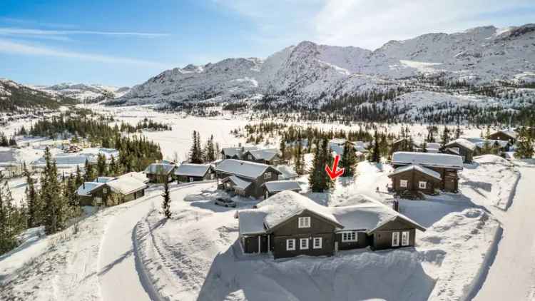 Hytte Gaustablikk Ski Inn Ut 4 Soverom Jacuzzi
