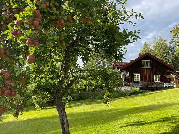 Koselig Enebolig til Leie pa Småbruk nær Sentrum